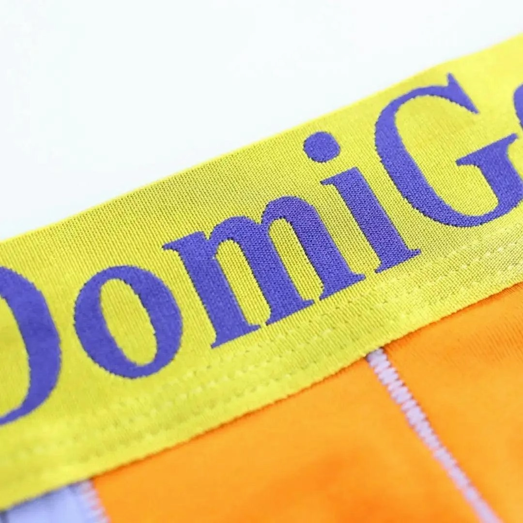DomiGe Men's Boxer Briefs - Ice Silk & Cotton Blend Comfort Fit Underwear