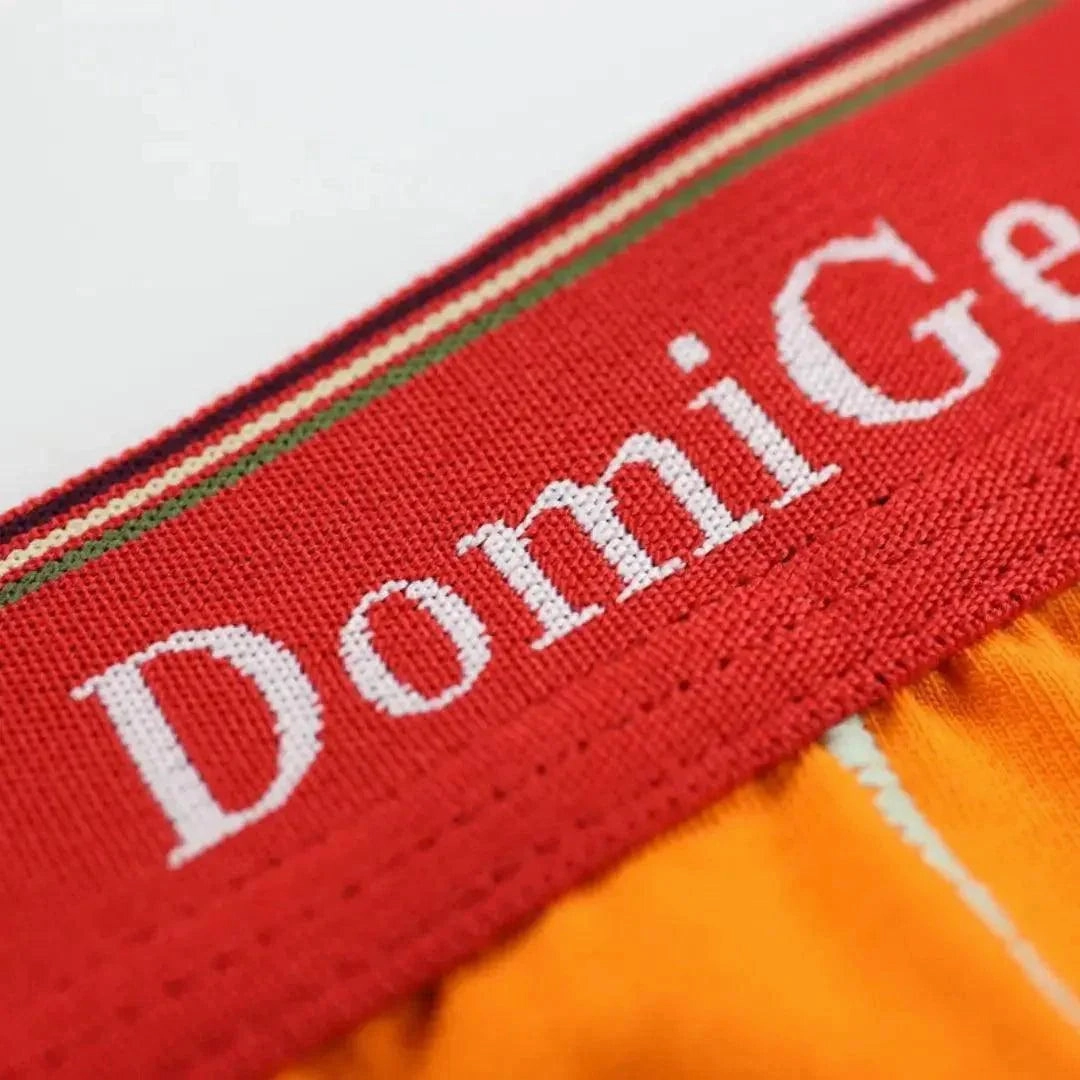 DomiGe Men's Boxer Briefs - Ice Silk & Cotton Blend Comfort Fit Underwear