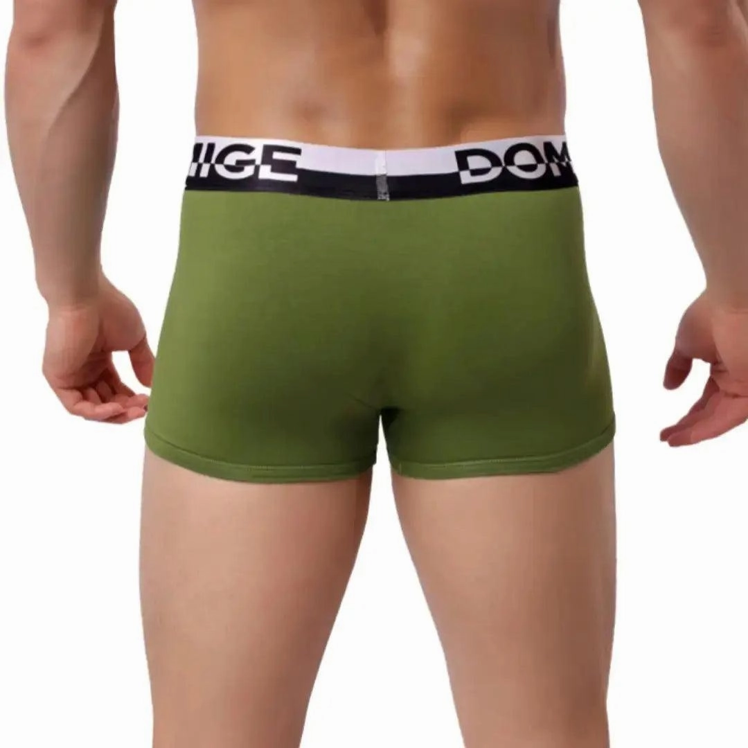 DomiGe Men's Cotton Boxer Briefs Turtle Shell Male Underwear